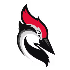 Woodpecker logo